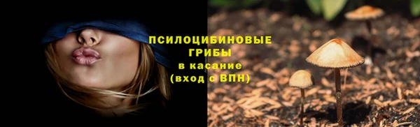 ECSTASY Белокуриха