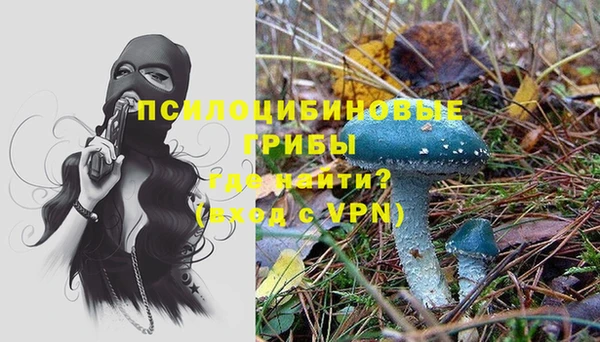 ECSTASY Белокуриха
