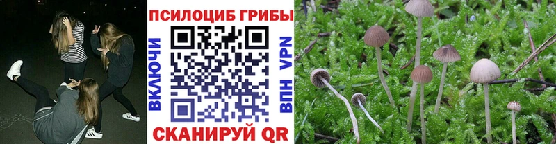 Галлюциногенные грибы Magic Shrooms  Купить закладки  Новый Оскол 